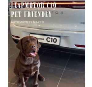 Si buscas un coche Pet Friendly, el Leapmotor C10 es el coche que tu perro también elegiría…